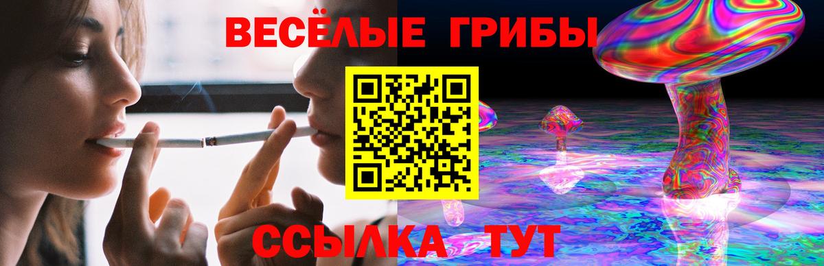 Саратов  Псилоцибиновые грибы мицелий  Вход с VPN 